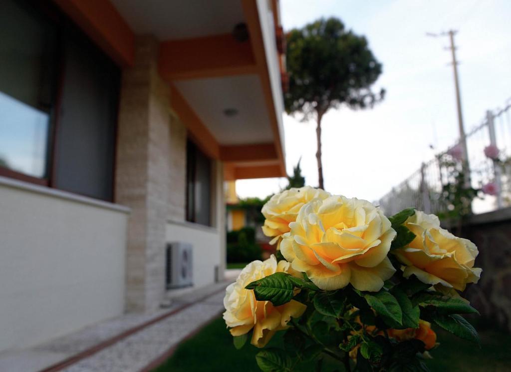 Villa Fokai Hotel Yenifoca Kültér fotó
